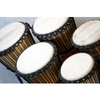 Djembe Master Mali 10