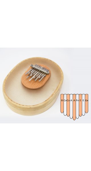 Kalimba skin transparent 9 A major