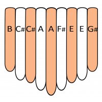 Kalimba skin transparent 9 A major