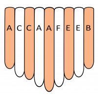 Kalimba Haut transparent 8+1 A-Moll