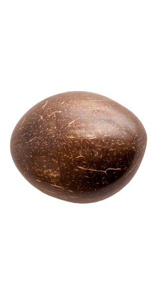 Egg shaker coconut