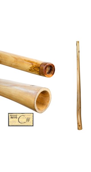 Didge L-Pro Teak Cis