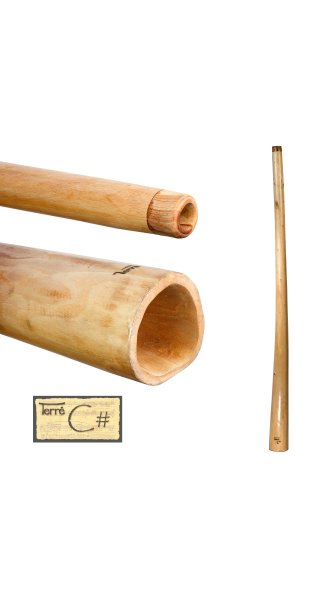 Didge L-Pro Mahogany C#