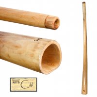 Didge L-Pro Mahogany C#