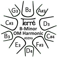 Tonguedrum B Harmonic 432Hz