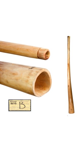 Didge L-Pro Mahogany B