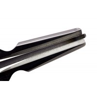 Maultrommel Compass Cis2