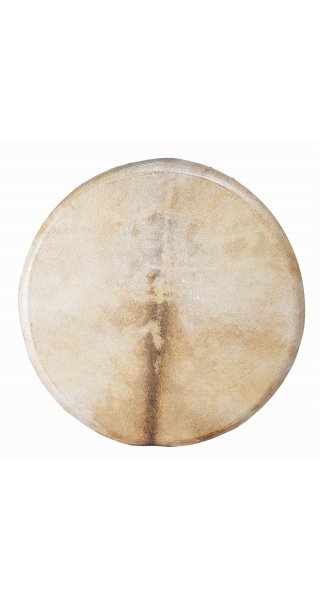 Shaman drum goat tree 50cm