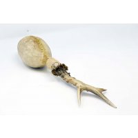 Shamanshaker Rehgeweih L Meer