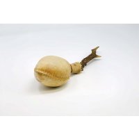 Shamanshaker Rehgeweih M Meer