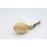 Shamanshaker Rehgeweih M Meer