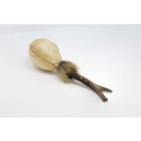 Shamanshaker deer antlers M rain