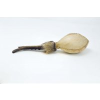 Shamanshaker deer antlers M rain