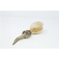 Shamanshaker deer antlers L rain