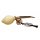 Shamanshaker deer antlers M sea
