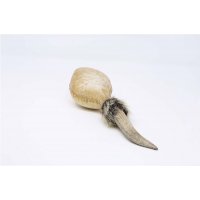 Shamanshaker deer antlers M rain