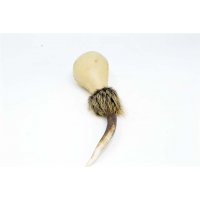 Shamanshaker deer antlers S rain