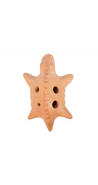 Ocarina turtle