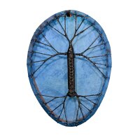 Shaman Drum Blue oval