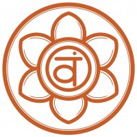 Singing bowl synodic moon 900g