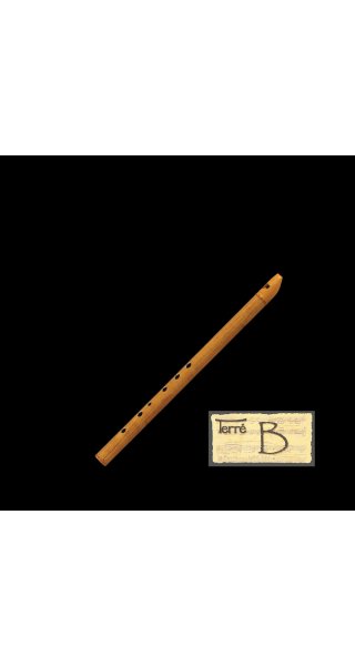 Irish Whistle Tone B