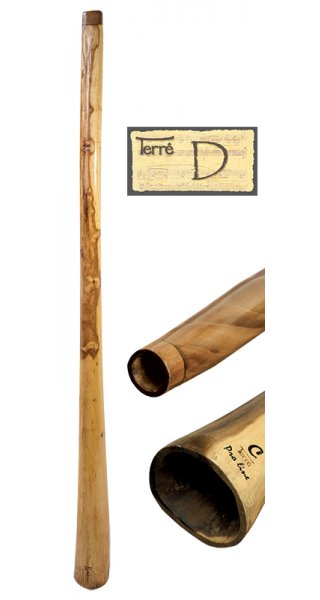 Didgeridoo Eucalyptus D