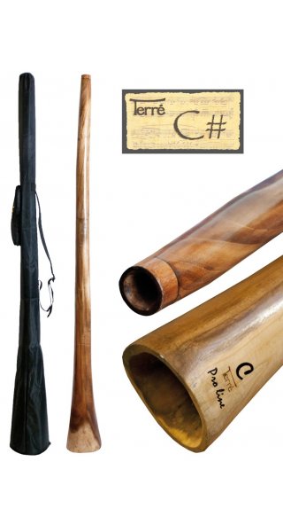 Didgeridoo Proline XL-C#