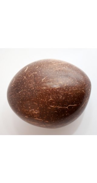 Egg Shaker Kokosnuss