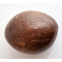 Egg Shaker Kokosnuss