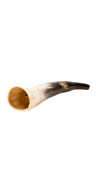 Cow horn polished