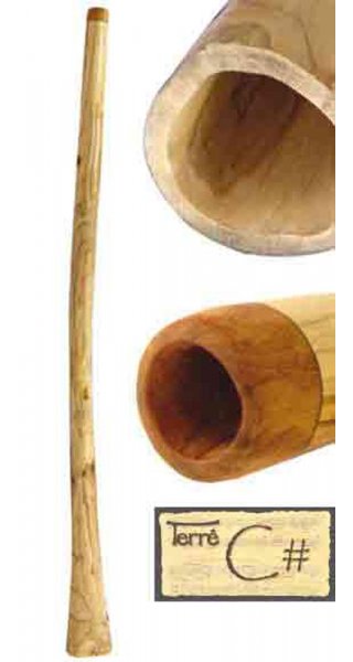 Didgeridoo Teak Cis