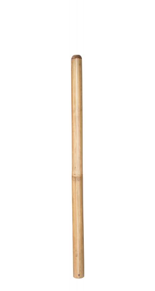 Didgeridoo Bamboo D